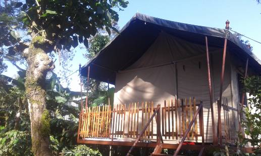 Coorg Tent Houses Coorg