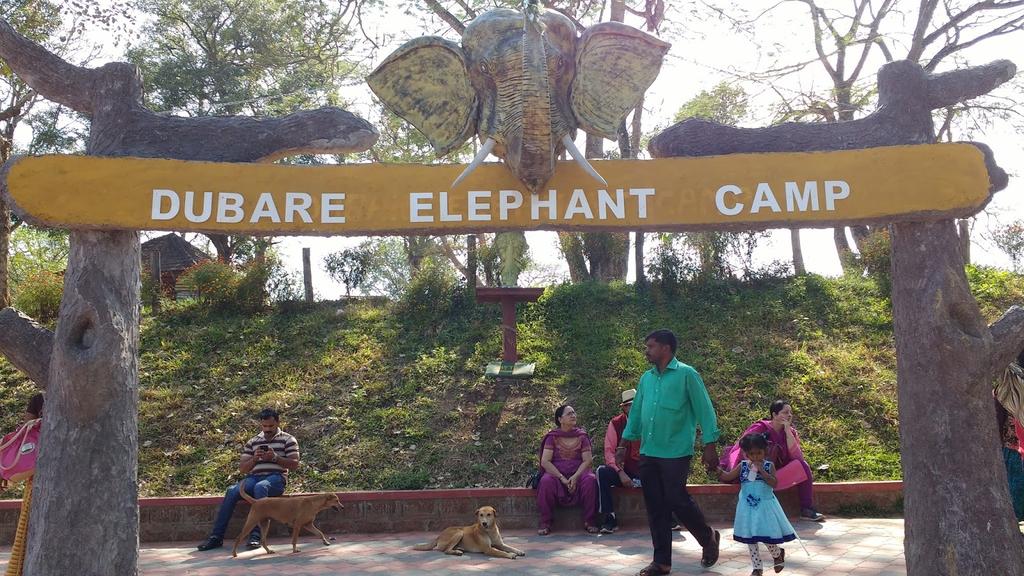 Dubare Elephant Camp Coorg