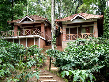 Forest Flower Homestay Coorg
