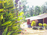 Mahima Hut Homestay Coorg