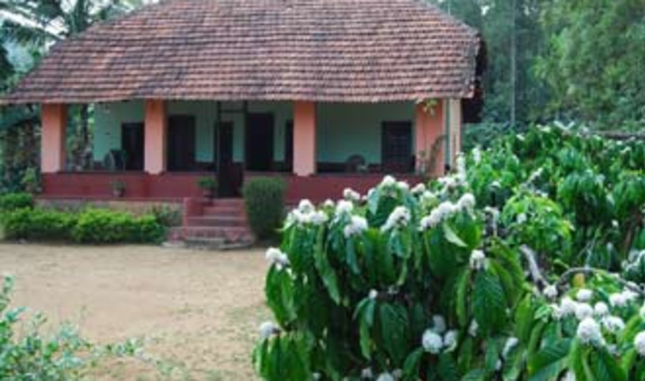 Paddy View Homestay Coorg