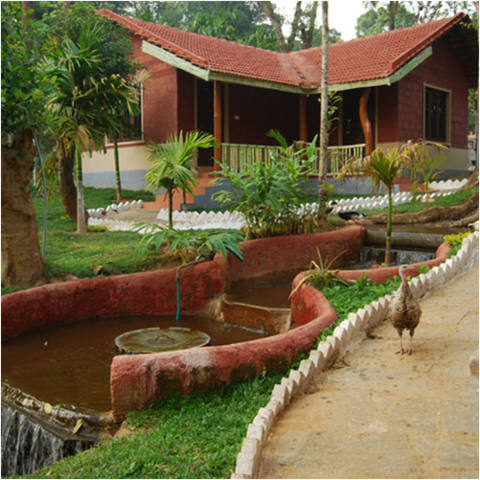 Stay Simple Green Line Stays Resort Coorg