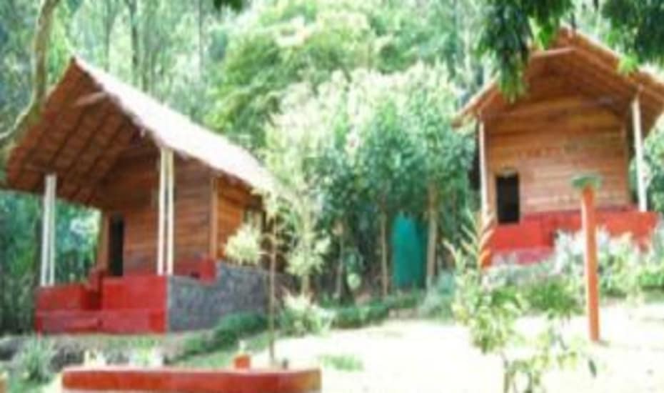 Stay With Nature In Madapura Coorg Homestay Coorg